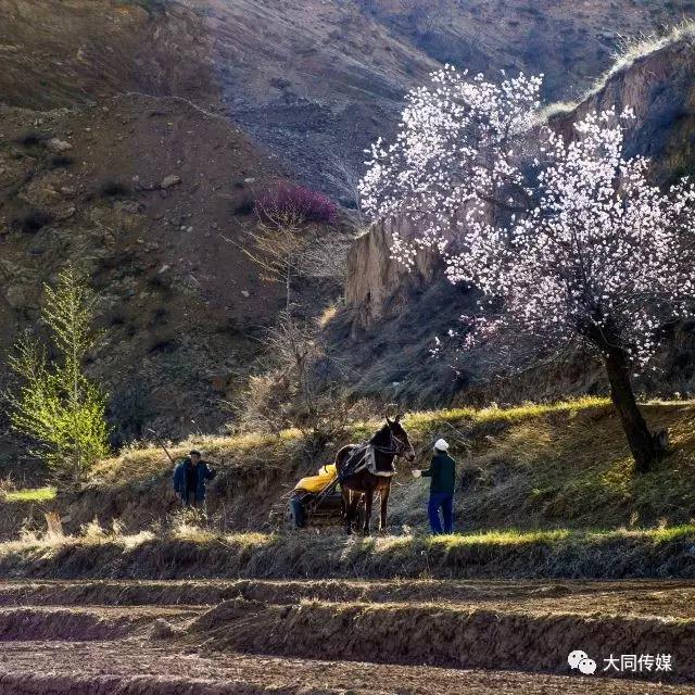 微信圖片_20170405163642.jpg